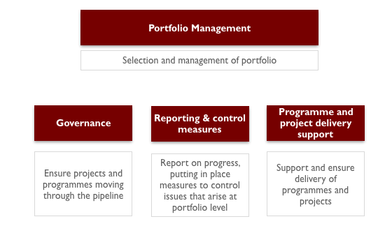Portfolio management divided into governance, reporting and control measures, and programme and project delivery support